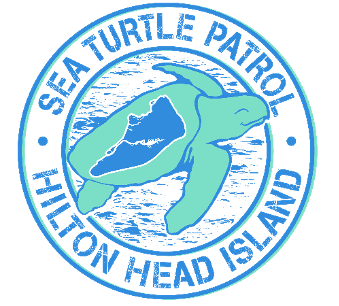 Collector and Arrow 100 Successfully Aid Monitoring of Sea Turtle Nesting on Hilton Head Island